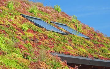 Wiganthorpe living roof systems
